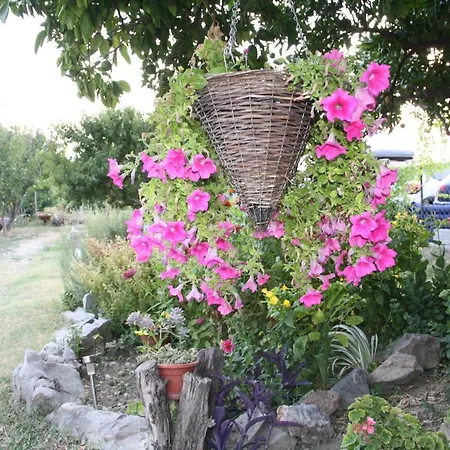 Lavanda Apartament *
